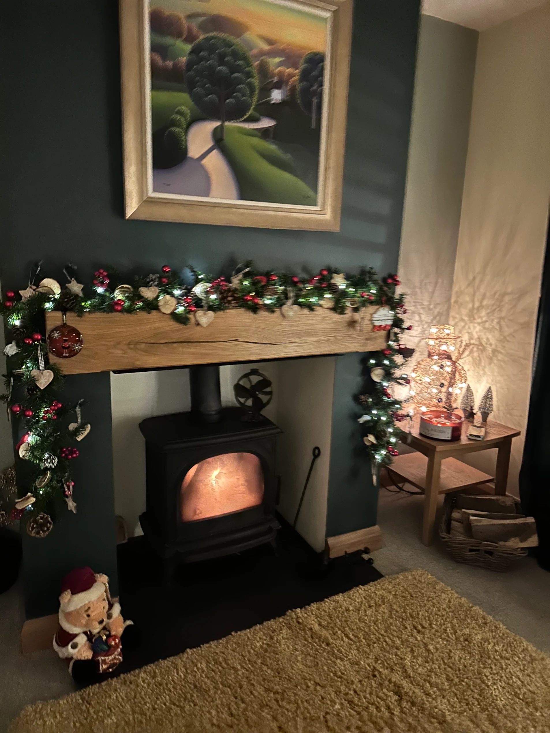 A wood burning stove supplied and fitted by The Fireplace & Stove Co.