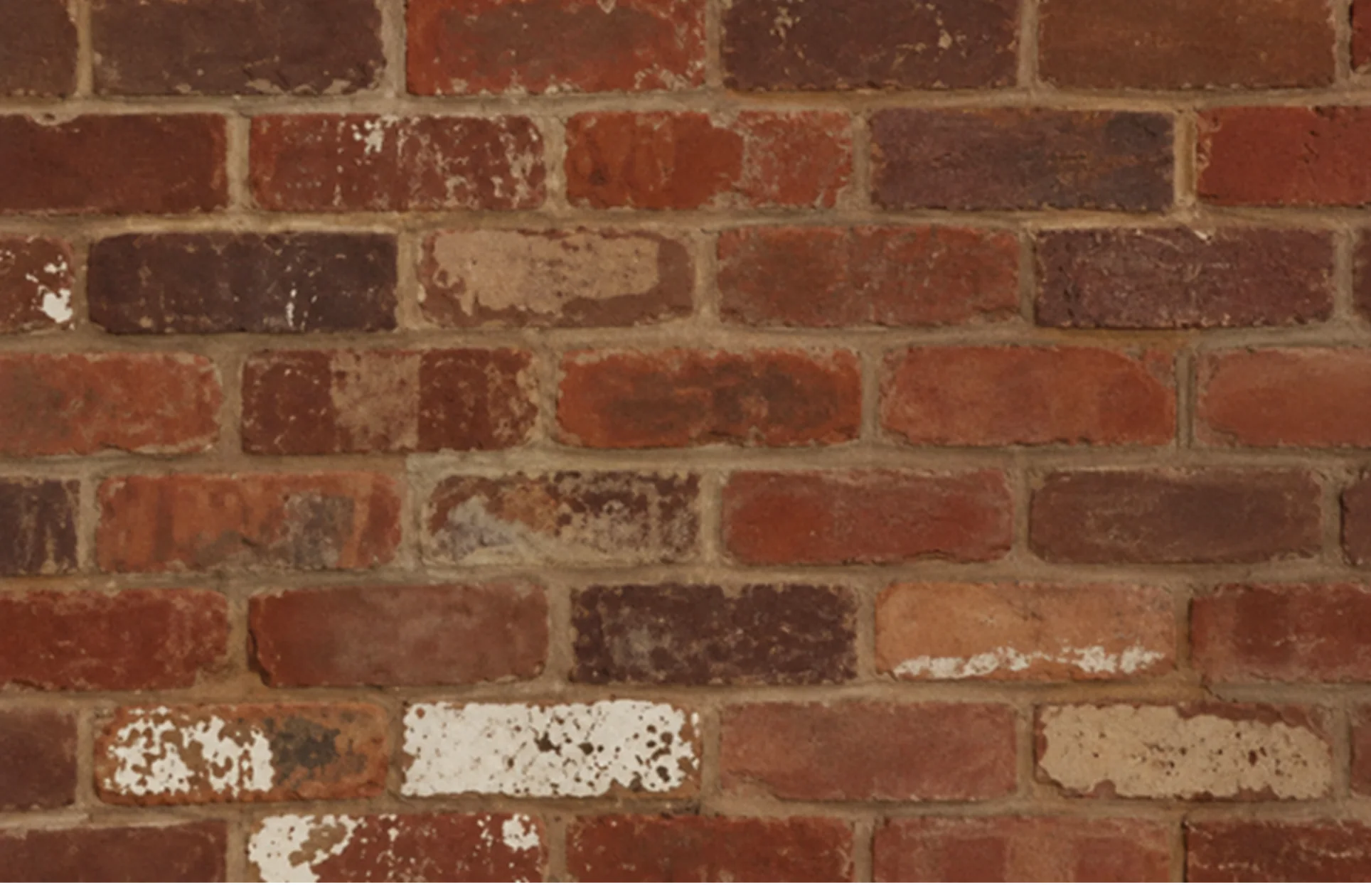 Hand-selected reclaimed brick with varied red and cream tones