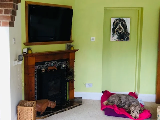 A fireplace and fire supplied and fitted by The Fireplace & Stove Co.